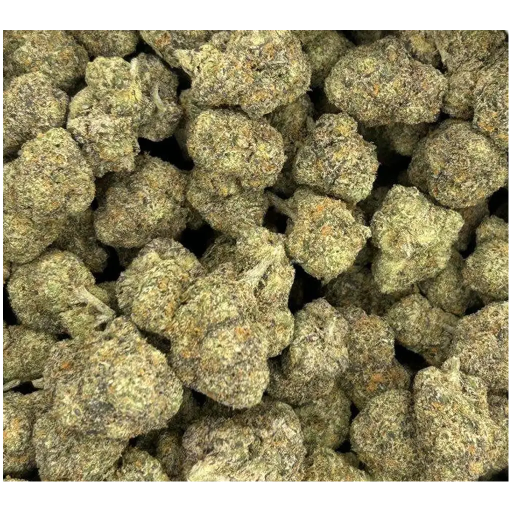 PM x RS THCa Flower featuring dense frosty purple and green buds with sweet candy aroma, citrus fuel terpenes, and heavy trichome coverage.