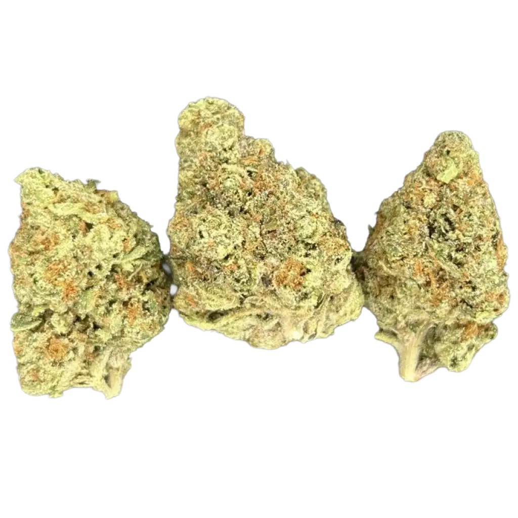 Pineapple Express THCa Flower featuring dense frosty green buds with sweet pineapple aroma, citrus and pine terpenes, and heavy trichome coverage.
