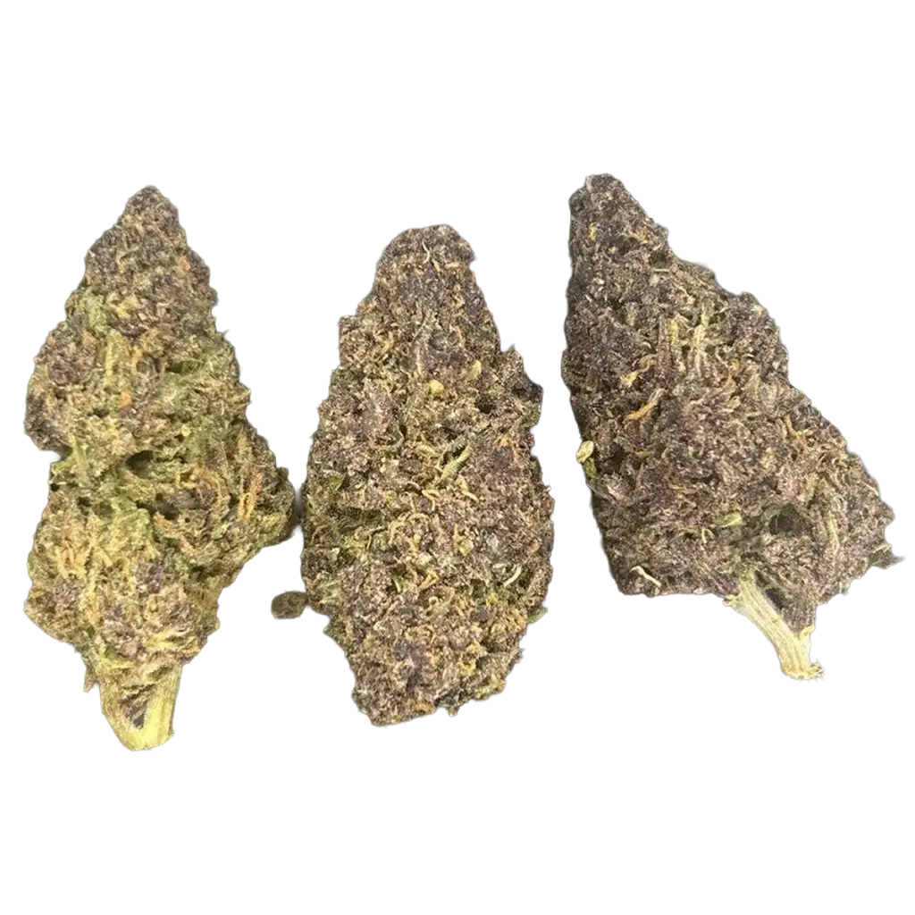 Sour Cherry Berries THCa Flower featuring dense frosty purple and green buds with tart cherry aroma, sweet berry terpenes, candy notes, and heavy trichome coverage.
