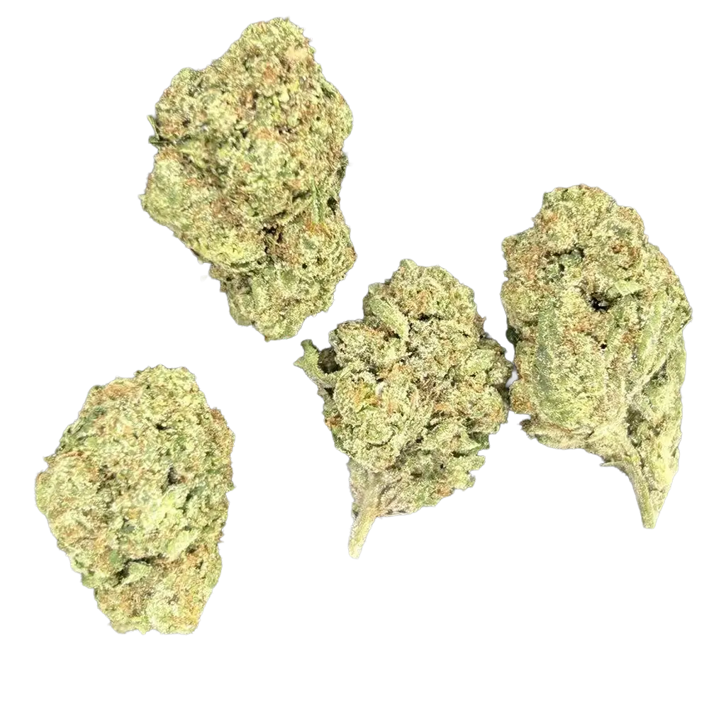 Sugar Tarts THCa Flower featuring dense frosty purple and green buds with sweet candy aroma, citrus berry terpenes, and heavy trichome coverage.