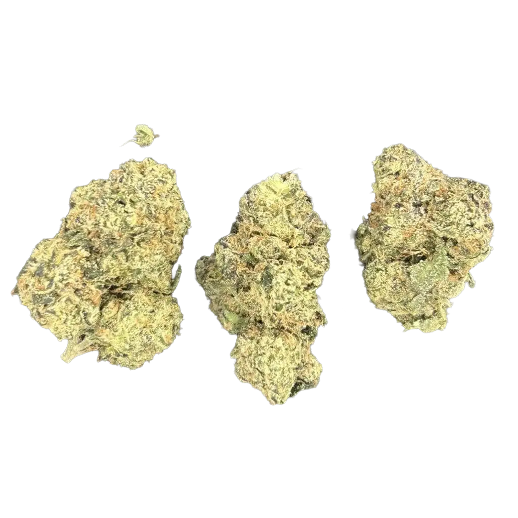 Twizzlers THCa Flower featuring dense frosty purple and green buds with sweet cherry candy aroma, berry terpenes, and heavy trichome coverage.