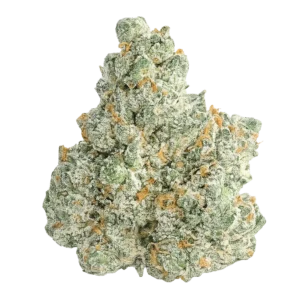 Violet Fog THCa Flower
