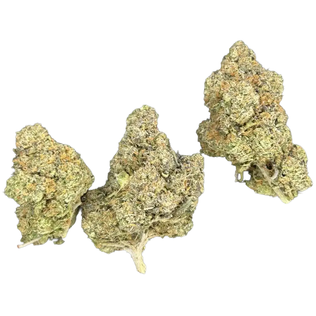 Biscotti V THCa Flower featuring dense frosty buds with sweet cookie aroma, creamy dessert notes, earthy spice, and smooth gas terpenes.