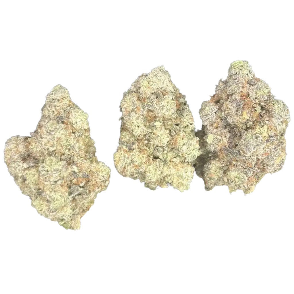 Gelato Zlushie THCa Flower