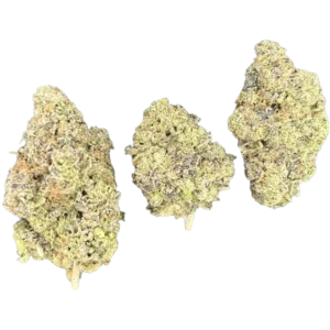 Go Gumbo Go THCa Flower