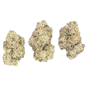 Project Z THCa Flower