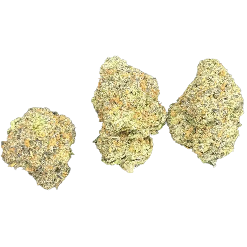 Putang Pie THCa Flower featuring dense frosty buds with sweet fruity citrus aroma, creamy dessert notes, and heavy trichome coverage.