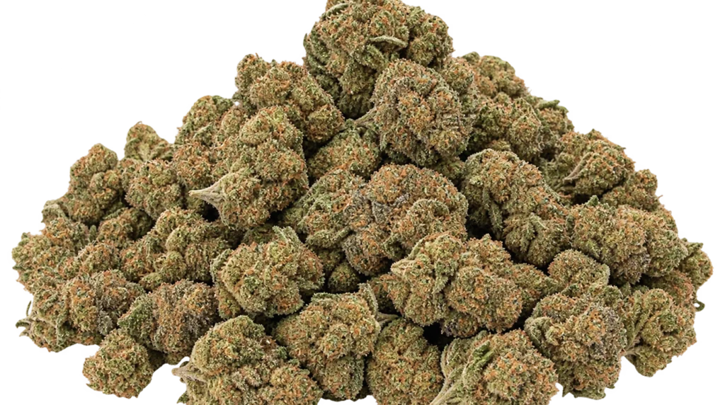 Where to Buy THCA Flower in Bulk