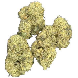 Golden Ticket THCa Flower