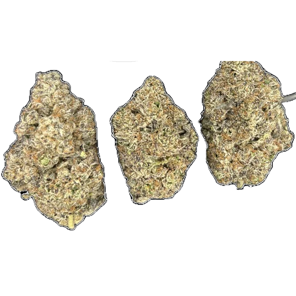 Mint Chocolate Chip THCa Flower featuring dense frosty buds with mint, chocolate, creamy vanilla, and earthy terpene characteristics.
