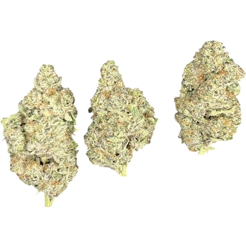 Mole THCa Flower featuring dense frosty buds with chocolate, earthy, spicy, and sweet terpene characteristics.
