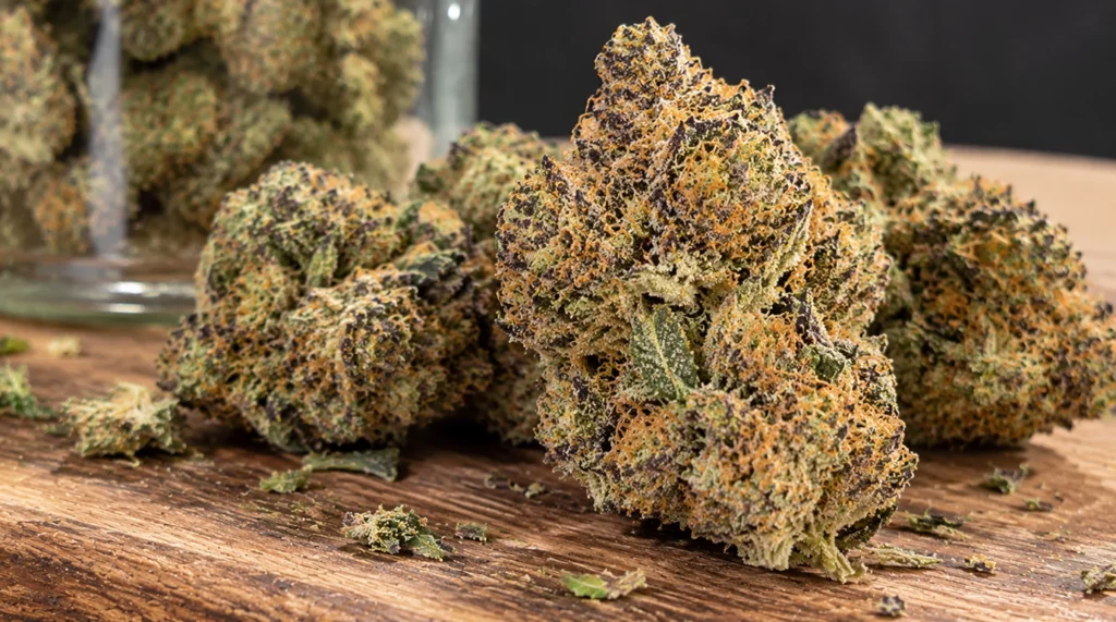 Cap Junky Strain