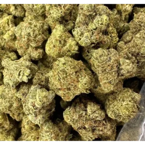 Gelato 33 THCa Flower