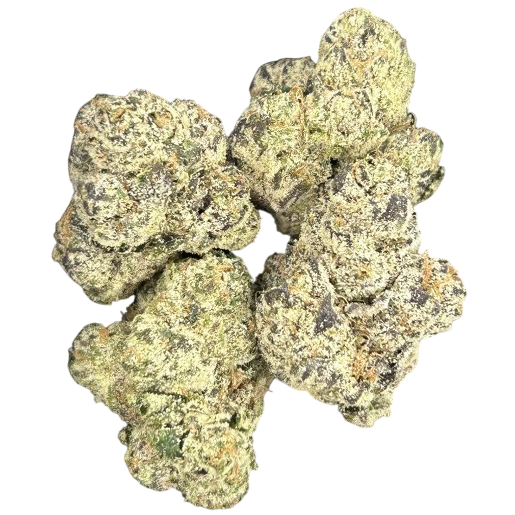 Splash THCa flower buds showing natural texture, detailed structure, and visible trichomes.